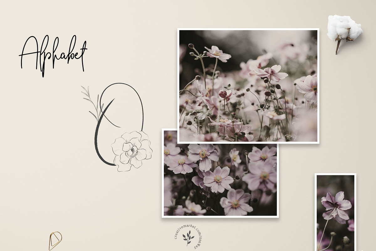 Olivia, an Object Graphic by Blossom (Photo 2 of 6)