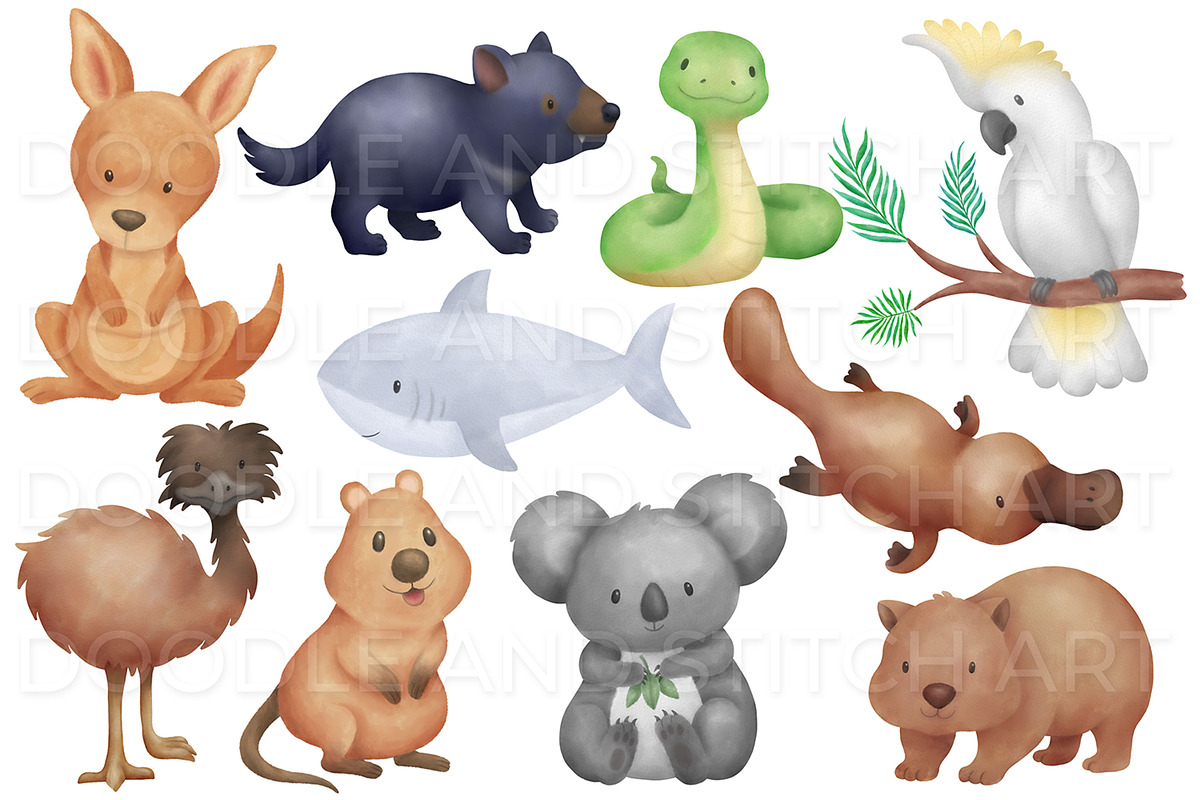 Australian Animals Illustrations, an Animal Illustration by Doodle and Stitch (Photo 2 of 2)