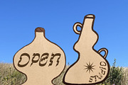 Open Vessel 78 Pen and Ink Forms, an Object Illustration by Eryn Rose Design (Thumbnail 17 of 21)