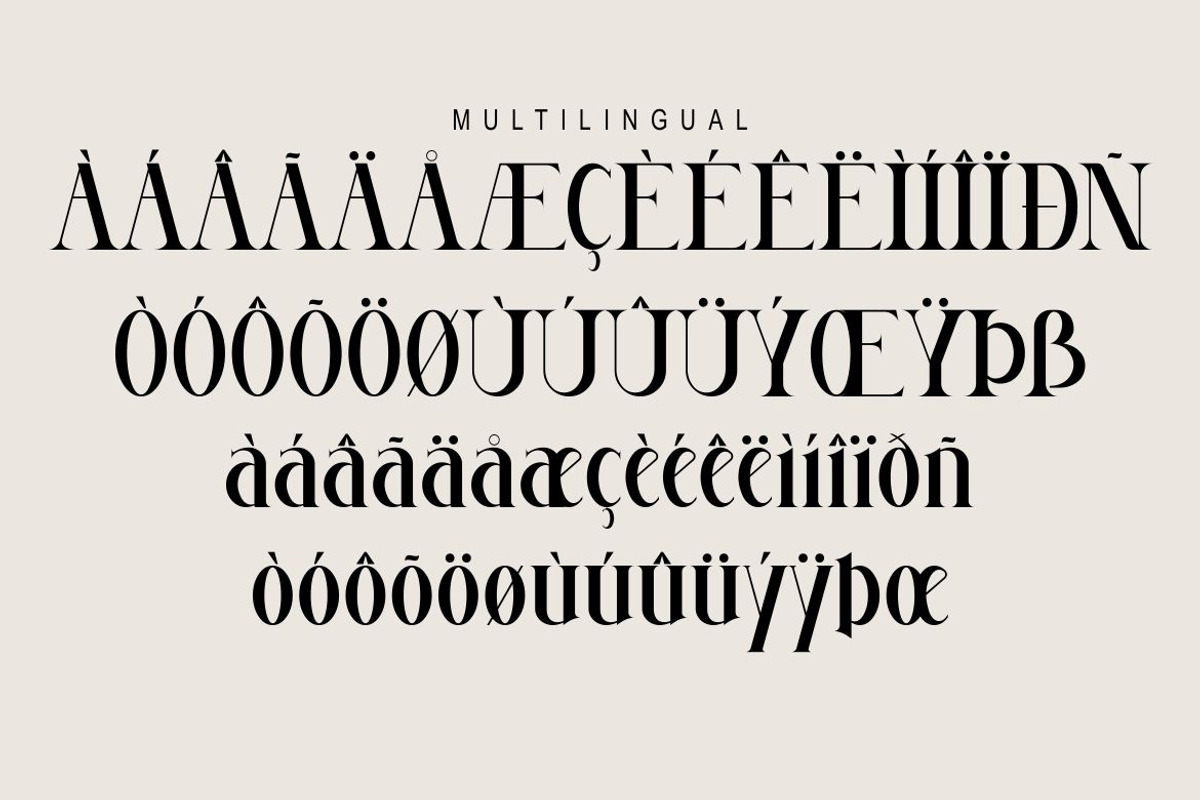 Megumi, a Serif Font by Kenrichi (Photo 7 of 10)