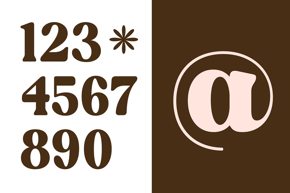 Regina Morise Classy Retro Serif, a Serif Font by timelesstype.co (Photo 12 of 20)