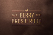 YNF Dustin | Condensed sans serif, a Sans Serif Font by YNF (Thumbnail 20 of 26)