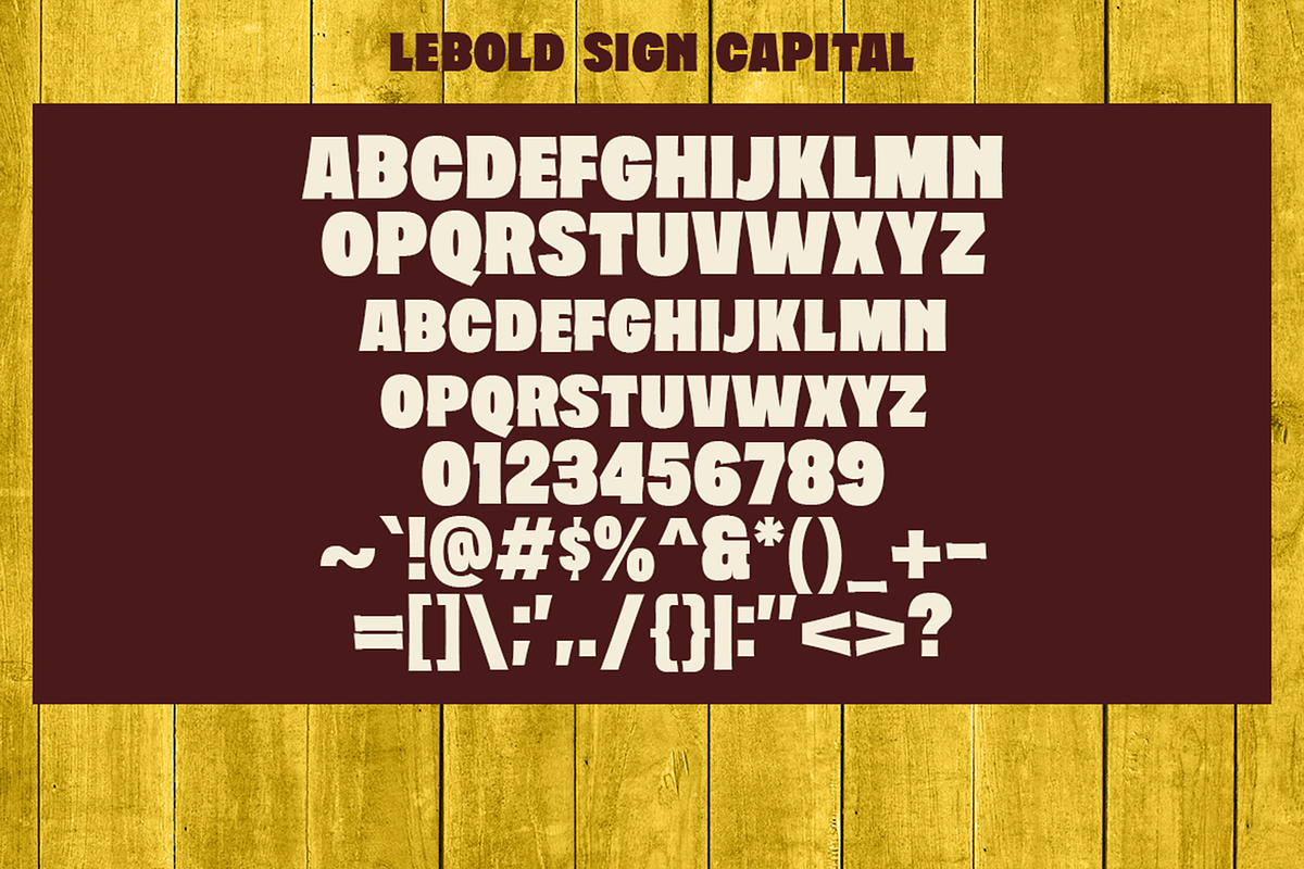 Lebold Sign - Vintage Sign Fonts, a Handwritten Font by Konstantine Studio (Photo 2 of 5)