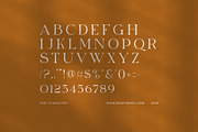 Abind Modern Serif Font, a Serif Font by Elegant Font (Thumbnail 6 of 8)