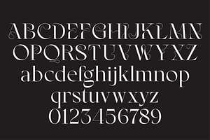 Kondo - Luxury Display Typeface