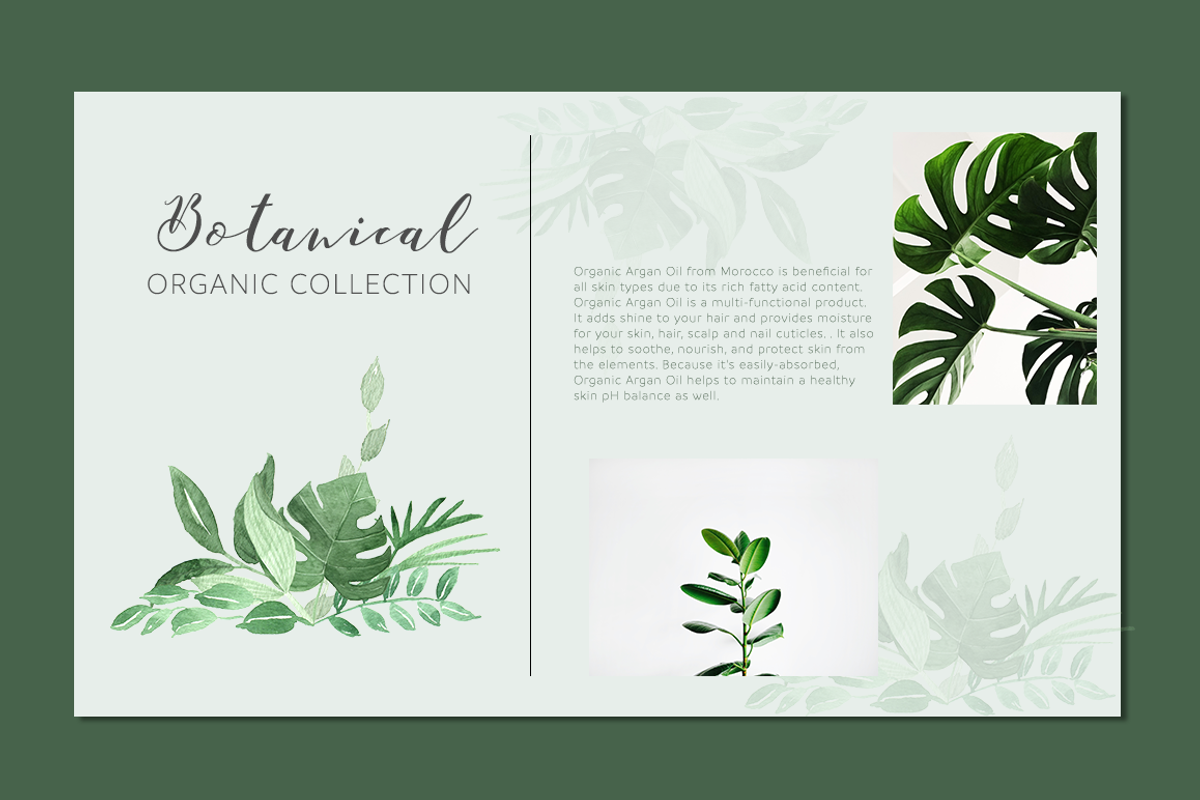 Botanica Watercolor Greenery Leaves, a Decorative Illustration by Momo Studio (Photo 7 of 16)