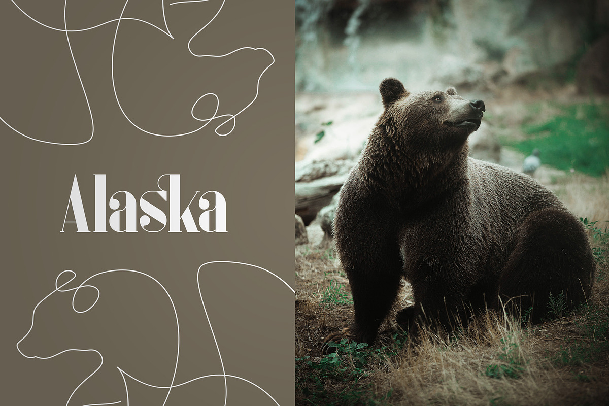 Inure - Serif Typeface + More preview 5