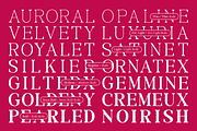 Morland – A Modern Elegant Serif, a Slab Serif Font by roomspace creative lab (Thumbnail 9 of 15)