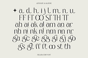 Negania – Stylish Modern Serif, a Serif Font by Morand Union (Thumbnail 5 of 6)