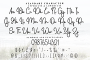 Sweet Delicious, a Handwritten Font by FreshTypeINK (Thumbnail 6 of 8)