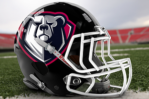 Bear Head Logo
