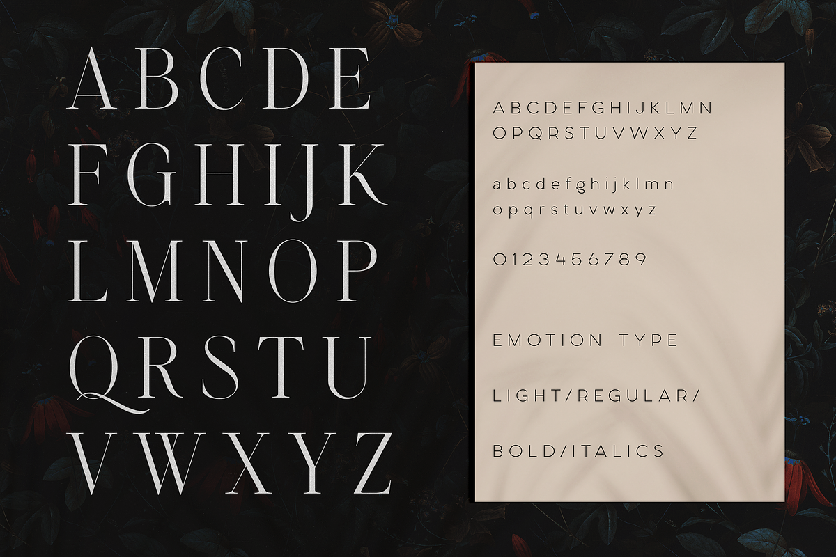 Emotive Type - creative font duo, a Serif Font by VP Fonts (Photo 9 of 17)