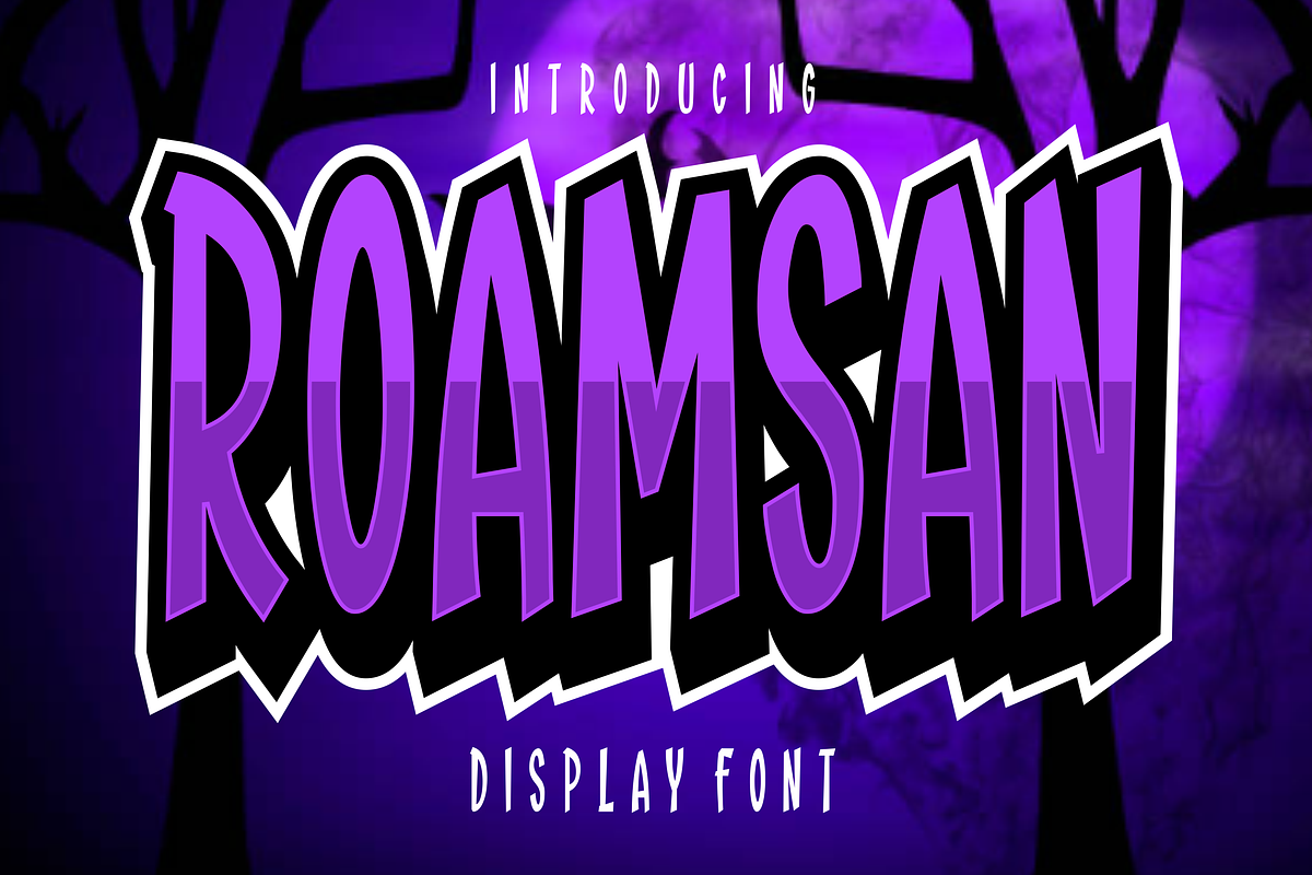 Roamsan, a Sans Serif Font by lelevien (Photo 1 of 6)