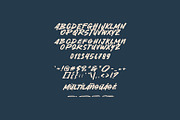 Reydex, a Script Font by khurasan (Thumbnail 7 of 7)
