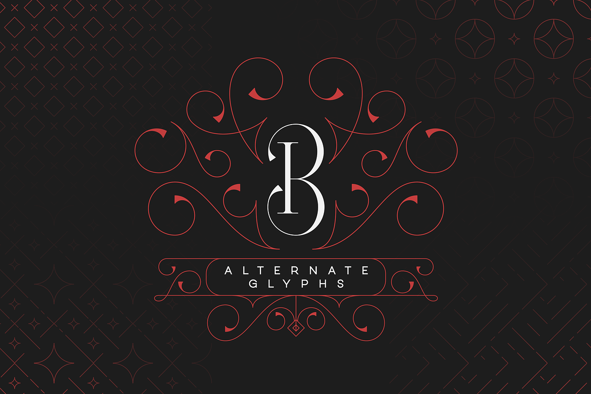 Type Monster - Elegant Font + Extras, a Serif Font by VP Fonts (Photo 9 of 15)