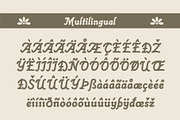 Alephand – A Traditional Script Font, a Serif Font by Hole Hope Design (Thumbnail 4 of 8)