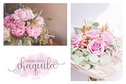 Beauty and Love - Font Duo + Extra, a Script Font by PutraCetol Studio (Thumbnail 3 of 12)