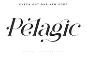 Histeagin Serif, a Serif Font by Yahya Type (Thumbnail 21 of 25)