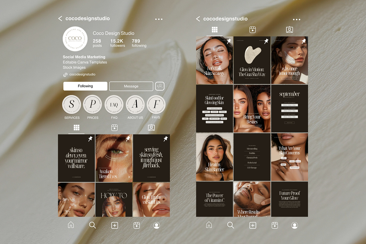 Skincare Instagram Canva Templates, a Social Media Template by COCO Designs (Photo 20 of 21)