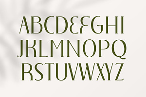 Christmas Elegant Font