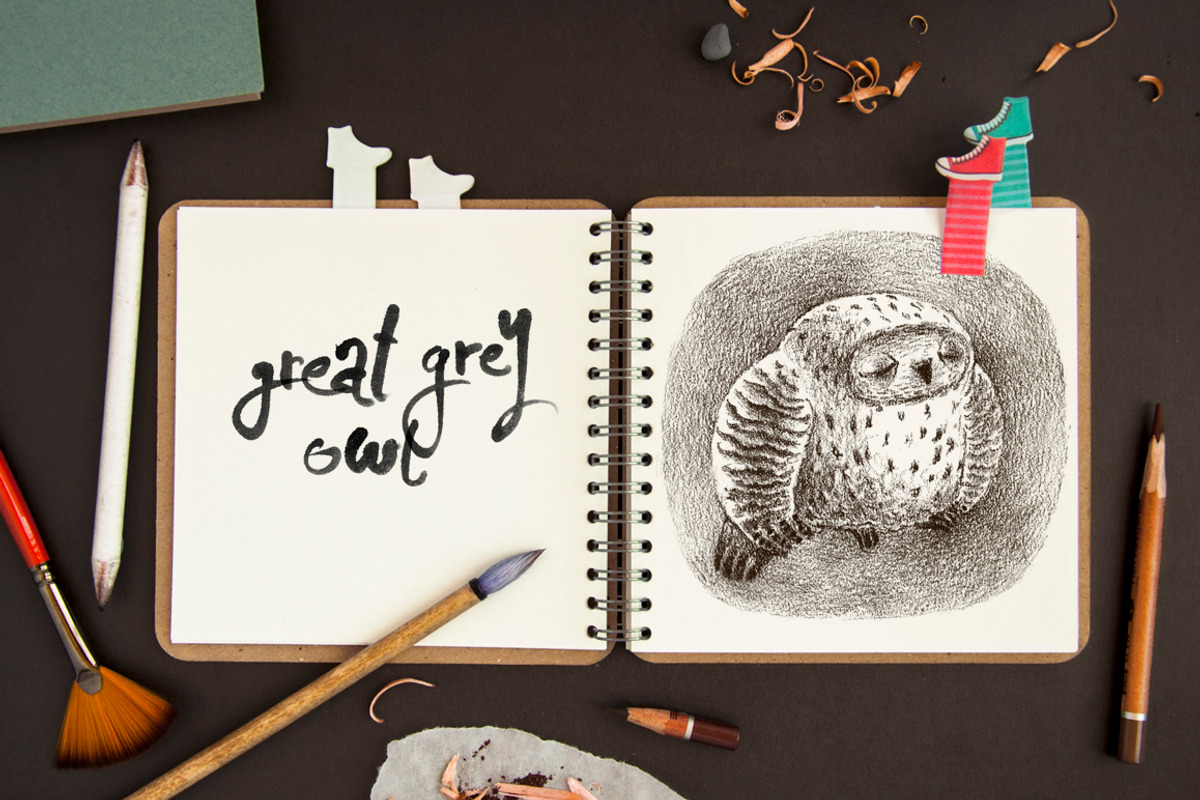 Tiny Owls Album, an Animal Illustration by Mazheika Store (Photo 6 of 9)