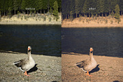 LR presets Nostalgic, a Preset Add-On by Emi Martinez Diana (Thumbnail 14 of 16)