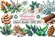 Medicinal Plants Clipart PNG Bundle, an Illustration by DreamCafeArt (Thumbnail 1 of 9)