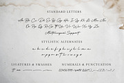 Hertine - Monoline Signature, a Script Font by Ef Studio (Thumbnail 8 of 8)