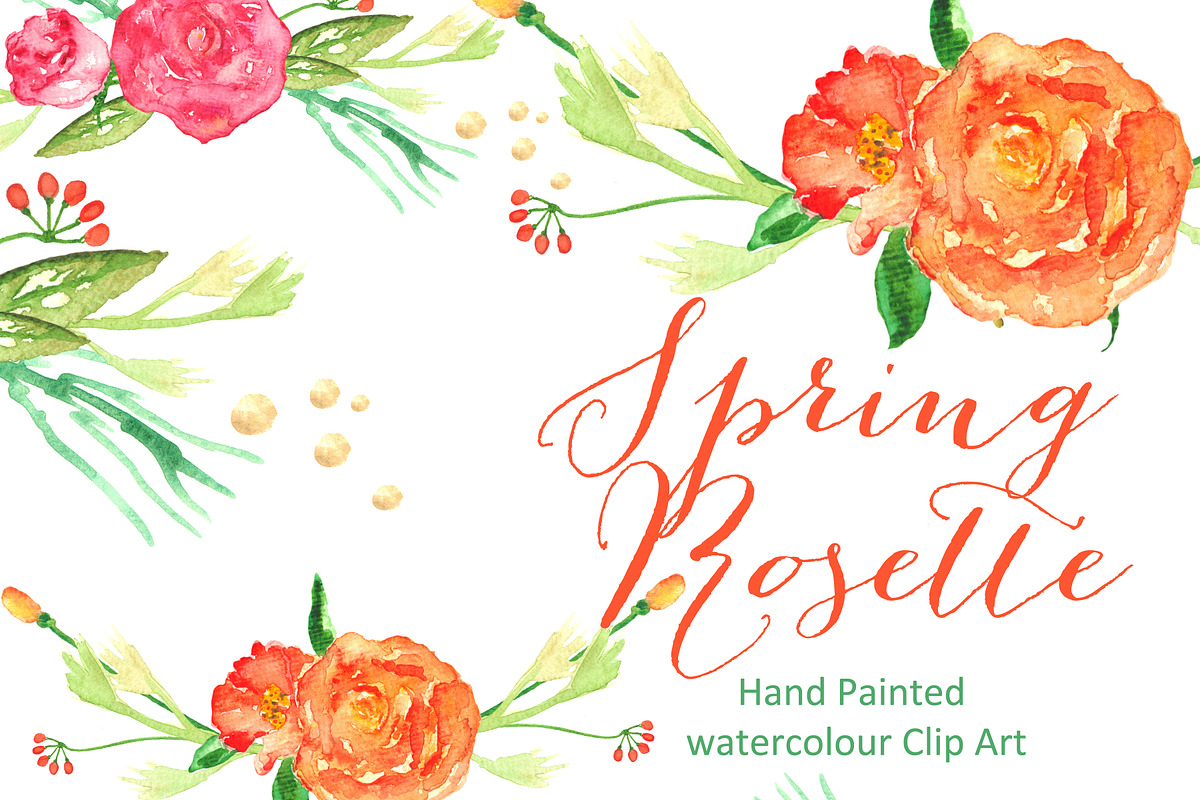 Rose Watercolor clip art, an Illustration by LABFcreations (Photo 1 of 2)