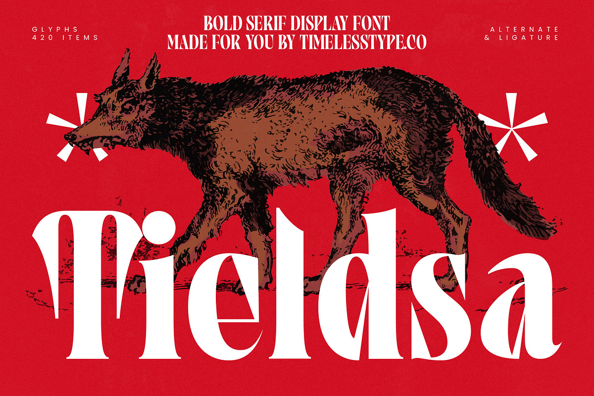 Tieldsa Bold Serif Display Font, a Serif Font by timelesstype.co (Photo 1 of 20)