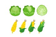 Flat Vegetable Clipart Collection, a Graphic by judayartworks (Thumbnail 5 of 14)