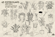 Potted Plants Line Art + Procreate, an Object Illustration by Skliarova (Thumbnail 3 of 4)
