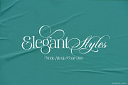 Notte Alexia, a Script Font by joelmaker (Thumbnail 14 of 25)