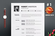 Resume/CV Bundle | 200+ for $29, a Resume Template by ResumeInventor (Thumbnail 42 of 207)
