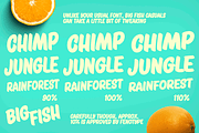 Big Fish Script + Caps + Extras, a Script Font by Fenotype (Thumbnail 10 of 10)