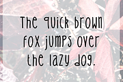 J. Vintage 2, a Font by juliaqier (Thumbnail 2 of 4)