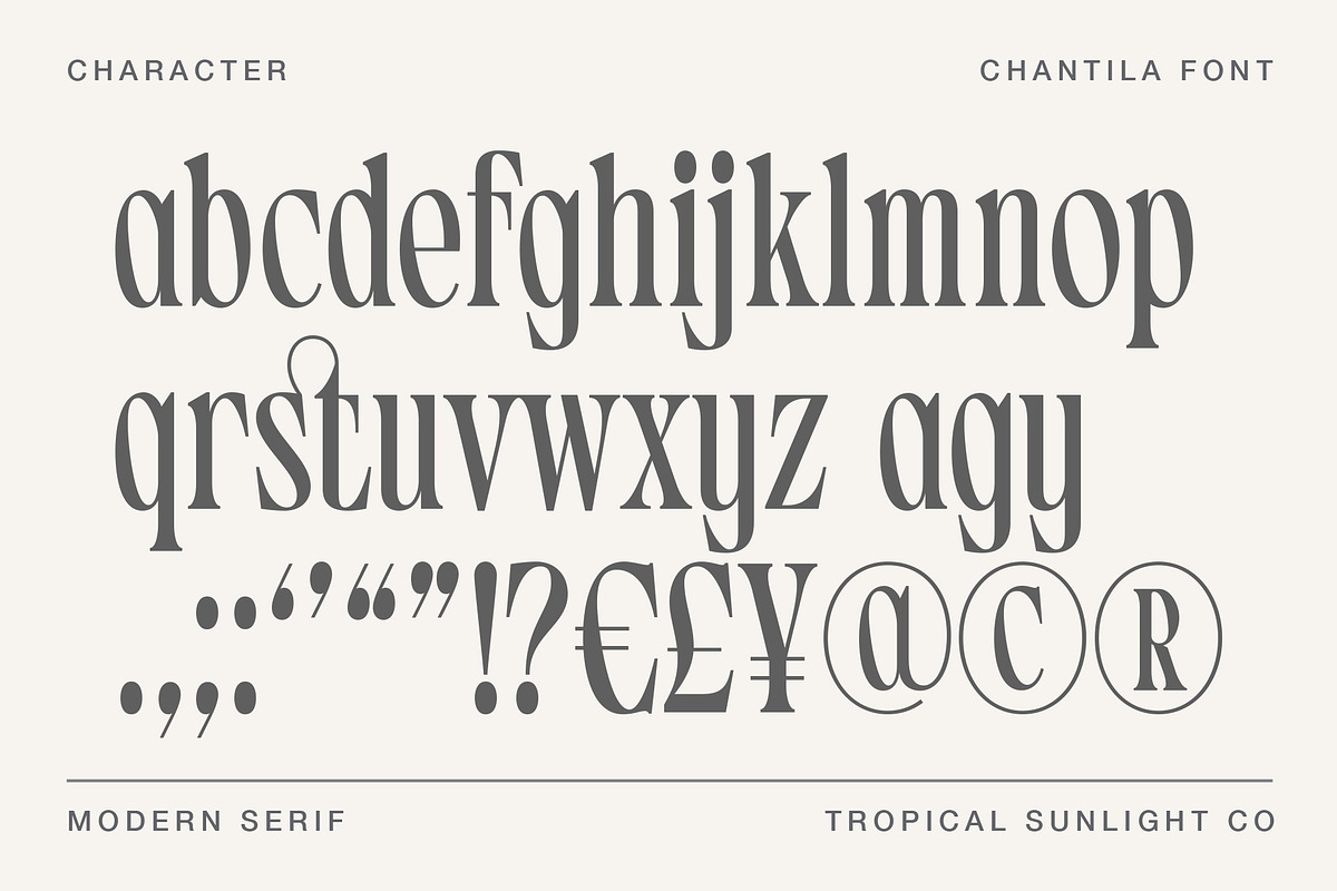 Chantila - Modern Serif Font, a Serif Font by TropicalSunlightCo. (Photo 8 of 10)
