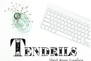 Tendrils Decorative Font, a Font by Digital Typeface Studio (Thumbnail 6 of 6)
