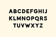 Patronize Modern Grotesk Font, a Serif Font by UICreative (Thumbnail 3 of 13)