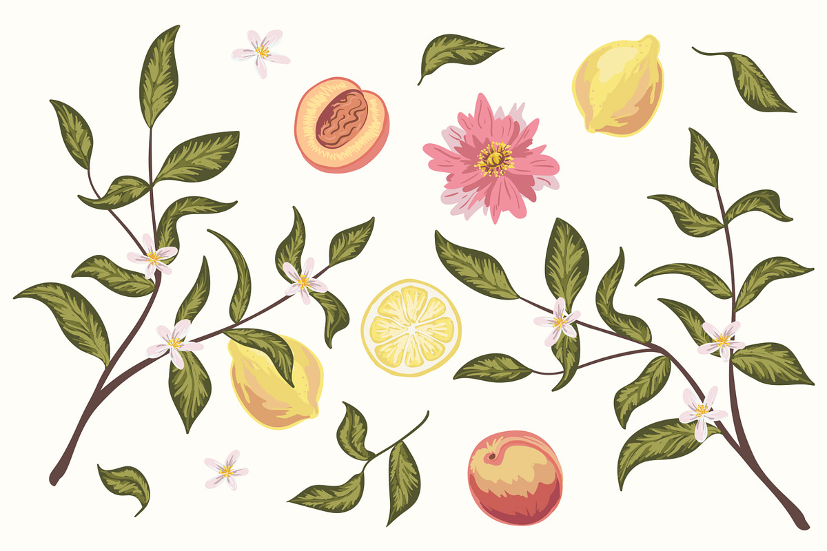 Fruit garden vector patterns, a Pattern Graphic by TaityG (Photo 2 of 6)