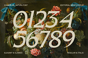 Casale Del Natura Font, a Serif Font by Marvadesign (Thumbnail 13 of 13)