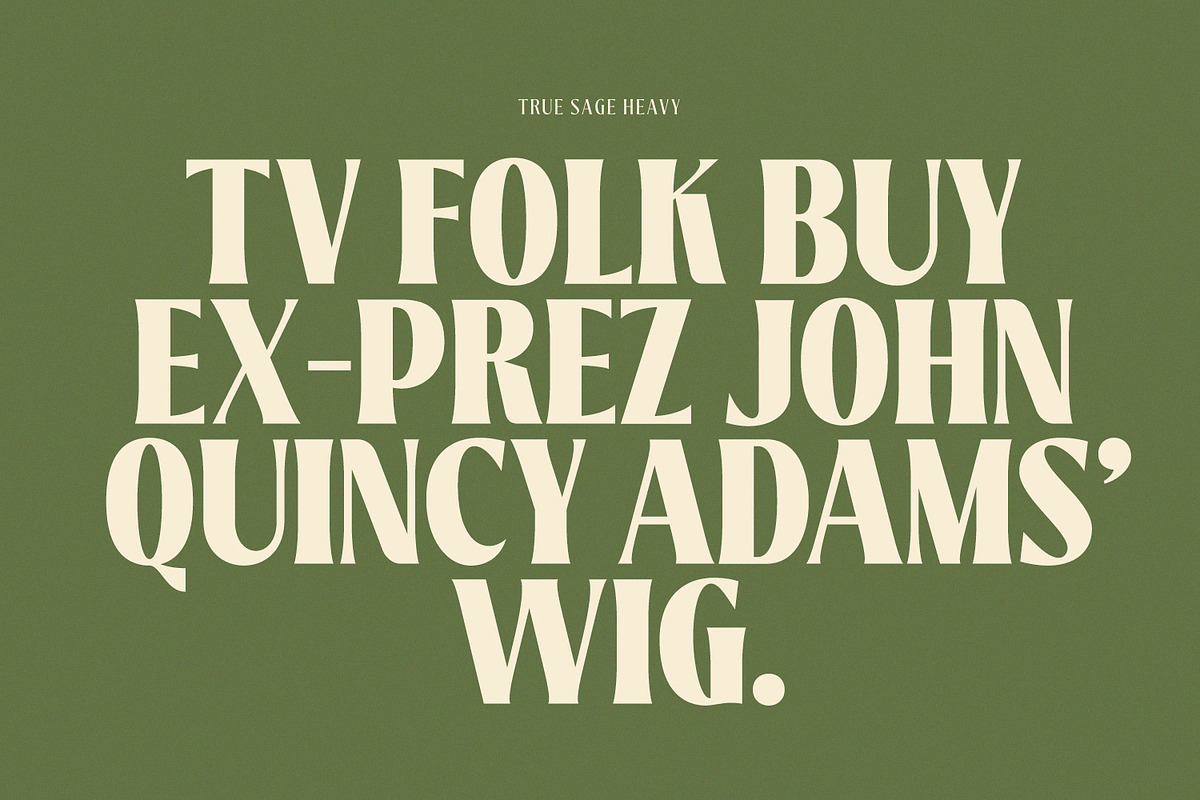 True Sage - Decorative Serif Family, a Font by creativemedialab (Photo 8 of 16)