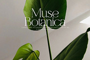 Gladiator - Chic Serif, a Serif Font by Mikhail Fukurou (Thumbnail 3 of 11)