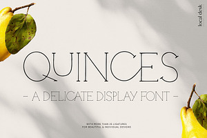 Quinces A Delicate Display Serif