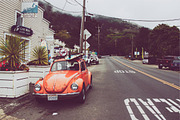 Garden Grove Lightroom Preset, a Preset Add-On by Lightroom Presets (Thumbnail 5 of 5)