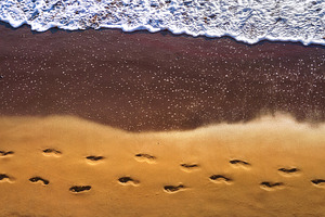 Walk in the beach