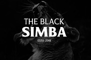 Revans Font Family, a Serif Font by Arterfak Project (Thumbnail 8 of 13)
