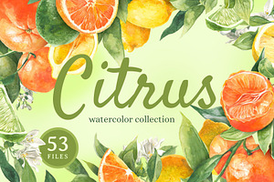 Citrus Watercolor Collection