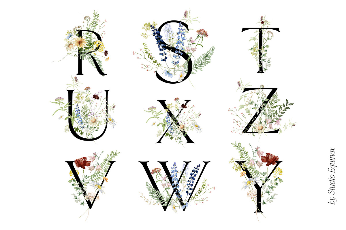 l'Herbolario - Wild Floral Graphics, an Illustration by studioequinox (Photo 13 of 14)
