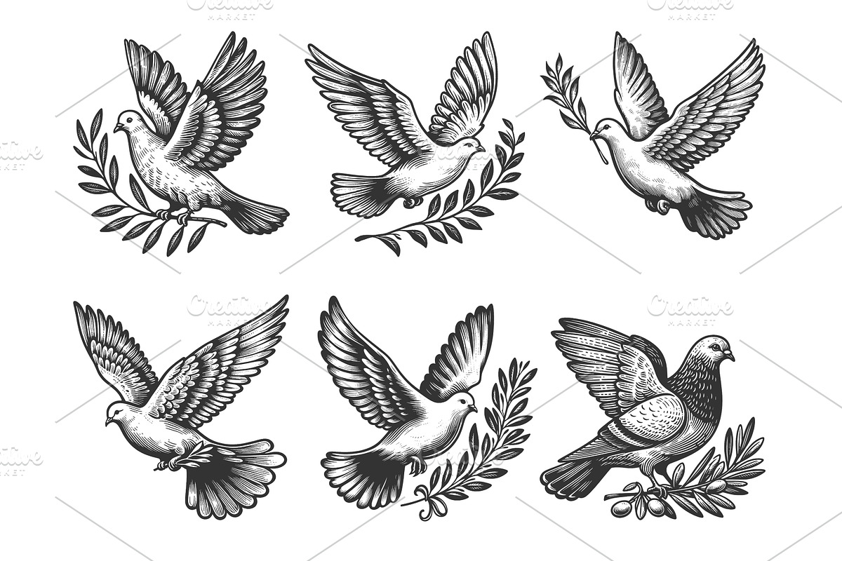 dove with olive branch engraving, an Animal Illustration by AlexArt